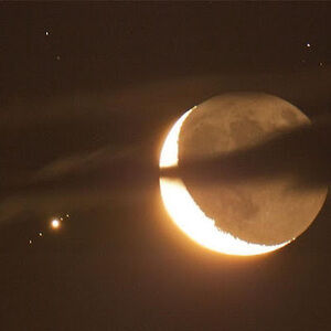 Meet your Posher, Angelina